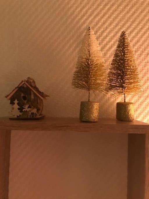 Appartement Aux Pieds Des Remontees Mecaniques Bagnères-de-Luchon 외부 사진